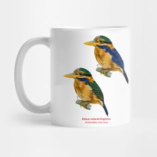 Rufous-collared Kingfisher | Actenoides concretus ⚥ Mug